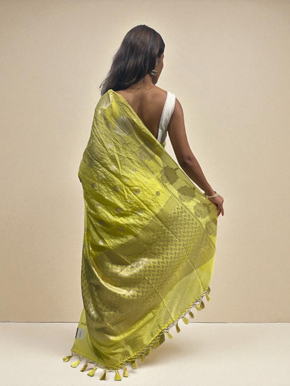 Sunlit Bloom Zari Drape